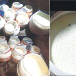Fungus found in Indian dairy yogurt, packets spoiling before expiry date