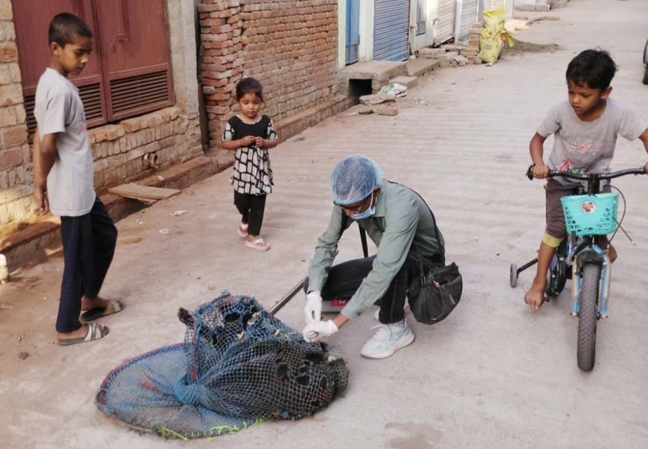 18,000 Dogs Vaccinated in 4 Months Under Rabies-Free Campaign