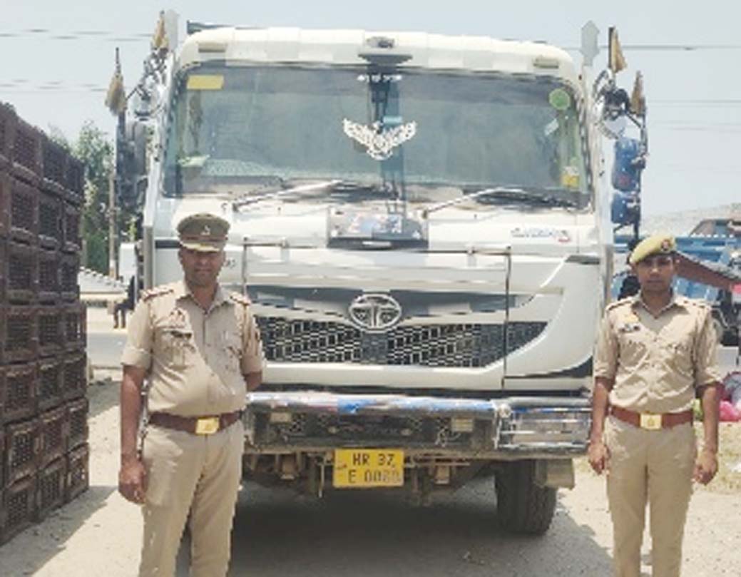 Crackdown on illegal mining; seven dumpers seized.